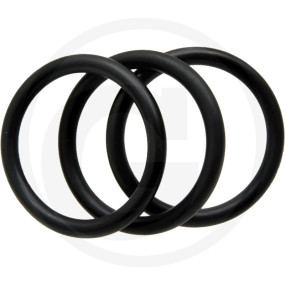 O-Ring F. Pumpe Granit 532706400.0000