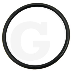 O-Ring (647937502.0F) Granit