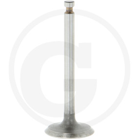 Valve, Suction Granit 7850200786