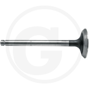 Einlassventil Granit 8303142D041