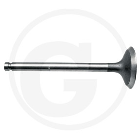 Auslassventil Granit 8303142D061