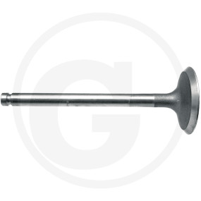 Einlassventil Granit 8303142H041