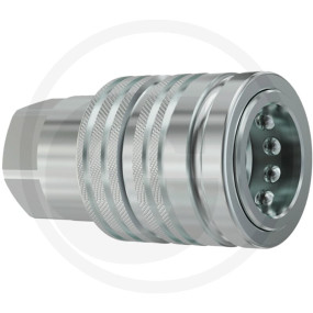 Cpv16 Muffe Ig 1'' Bsp Granit 86001398