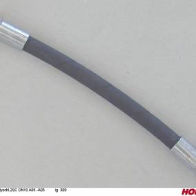 Hsdn10 2Sc Dkol12 Dkol12 300 Horsch 00120004