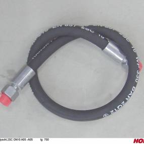 Hsdn10 2Sc Dkol12 Dkol12 700 Horsch 00120059