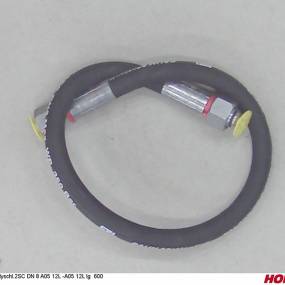 Hsdn08 2Sc Dkol12 Dkol12 600 Horsch 00120669