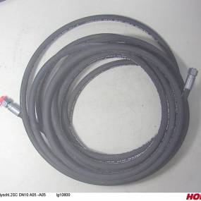 Hsdn10 2Sc Dkol12 Dkol12 10800 Horsch 00120787