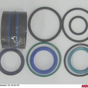 Dichtsatz F. Dz 50-30-130 Horsch 00130606