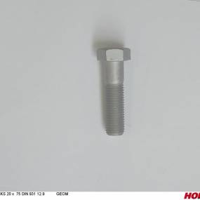 Sks 20 X 75 Din 931 12.9 Geom321A Horsch 00360020