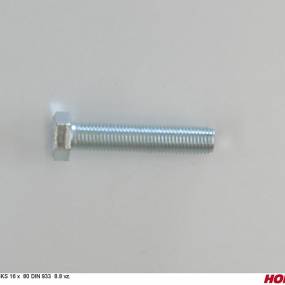 Sks 16 X 80 Din 933 8.8 Vz. Horsch 00360250