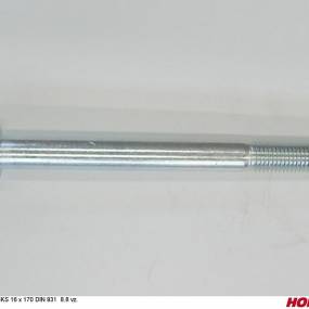 Sks 16 X 170 Din 931 8.8 Vz. Horsch 00360315