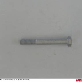 Sks 12 X 100 Din 931 10.9 Geom321A Horsch 00360806