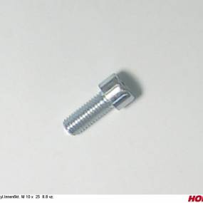 Zyl.innen6Kt. M 10 X 25 8.8 Vz. Horsch 00370146