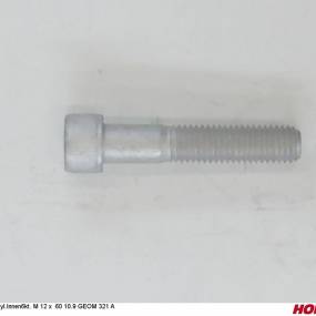 Zyl.innen6Kt. M 12 X 60 10.9 Geom 321 A Horsch 00370171