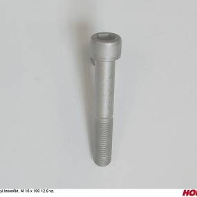 Zyl.innen6Kt. M 16 X 100 12.9 Geom 321 A Horsch 00370288