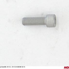 Zyl.innen6Kt. M 12 X 35 12.9 Geom 321 A Horsch 00370299