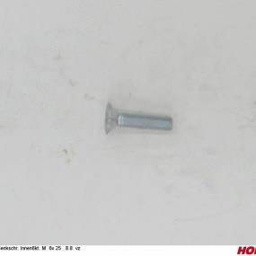 Senkschr. Innen6Kt. M 6X 25 8.8 Vz Horsch 00370322