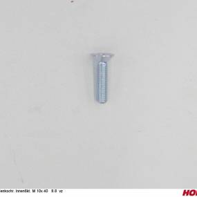 Sesmi 10 X 40 Din En Iso 10642 8.8 Vz. Horsch 00370639