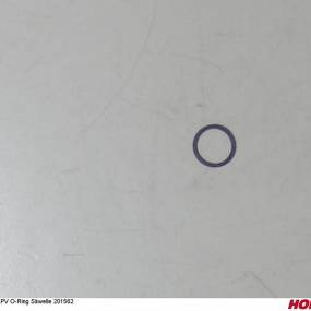 Apv O-Ring Säwelle 201562 Horsch 00385429