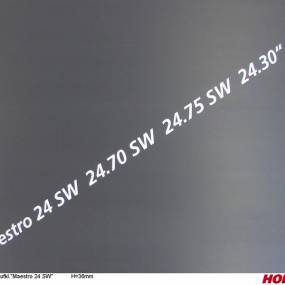 Aufkl."Maestro 24 Sw" H=36Mm Horsch 00385487