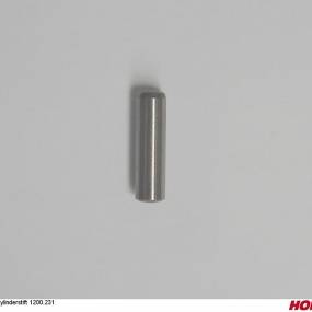 Zylinderstift 1200.231 Horsch 04004447