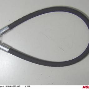 Hsdn10 2Sc Dkol12 Dkol12 800 Horsch 00120077