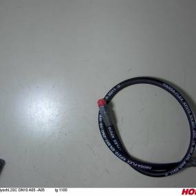 Hsdn10 2Sc Dkol12 Dkol12 1100 Horsch 00120120