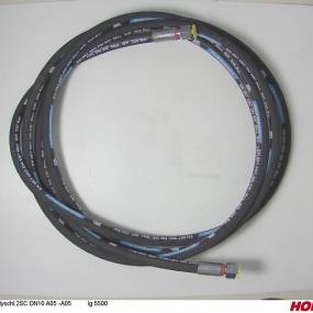 Hsdn10 2Sc Dkol12 Dkol12 5500 Horsch 00120159