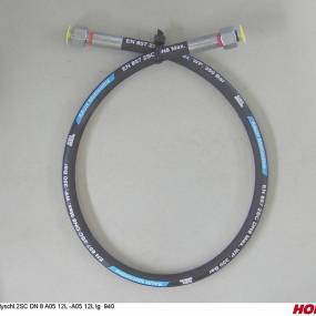 Hsdn08 2Sc Dkol12 Dkol12 940 Horsch 00120621