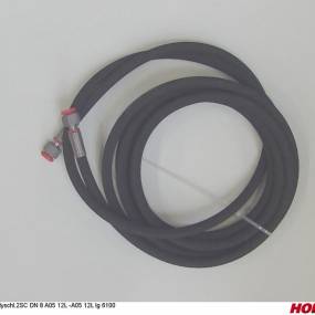 Hsdn08 2Sc Dkol12 Dkol12 6100 Horsch 00120651