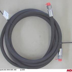 Hsdn10 2Sc Dkol12 Dkol12 4400 Horsch 00120676