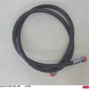 Hsdn12 2Sc Dkol15 Dkol15 2000 Horsch 00120819