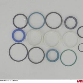 Dichtsatz F. Rz 50-30X170 Horsch 00130633