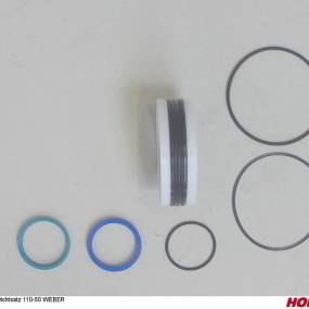 Dichtsatz 110-50 Weber Horsch 00130731