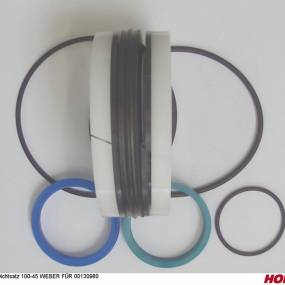 Dichtsatz 100-45 Weber für 00130980 Horsch 00130981