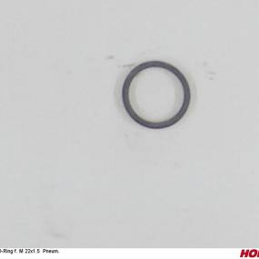 O-Ring F. M 22X1.5 Pneum. Horsch 00190095