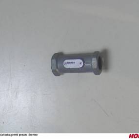 Ventil Rückschlagventil Pneum. Bremse Horsch 00190265
