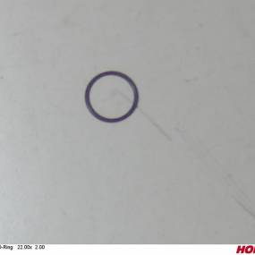 O-Ring 22.00X 2.00 Horsch 00260200