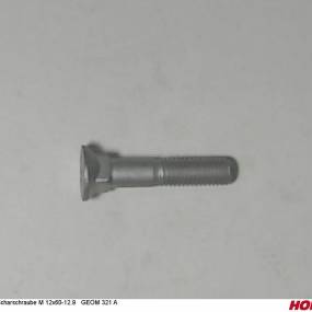 Scharschraube M 12X60-12.9 Geom 321 A Horsch 00310068