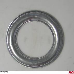 Dichtring Horsch 00310640