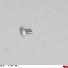 Sks 12X1,00 X 20 Din 961 8.8 Vz. Horsch 00310905