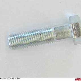 Sks 20 X 75 Din 931 8.8 Vz. Horsch 00360170