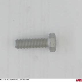 Sks 12 X 40 Din 933 12.9 Geom321A Horsch 00360474