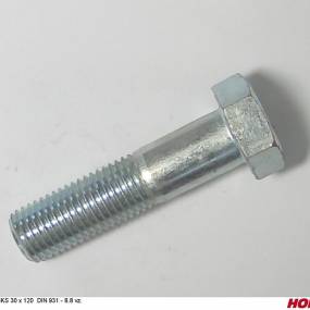 Sks 30 X 120 Din 931 8.8 Vz. Horsch 00360602
