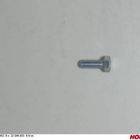 Sks 8 X 22 Din 933 8.8 Vz. (00360618) Horsch
