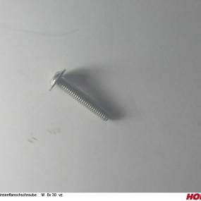 Linsenflanschschraube M 6X 30 Vz. Horsch 00360758