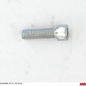 Zyl.innen6Kt. M 12 X 40 8.8 Vz. Horsch