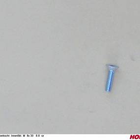 Sesmi 8 X 30 Din En Iso 10642 8.8 Vz. Horsch 00370337