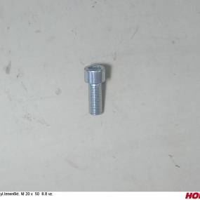 Zyl.innen6Kt. M 20 X 50 8.8 Vz. Horsch 00370385