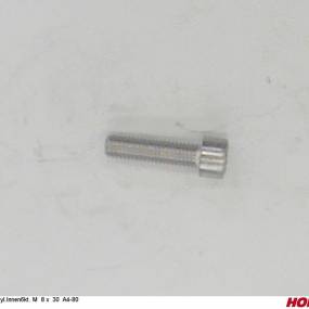 Zyl.innen6Kt. M 8 X 30 A4-80 Horsch 00370494